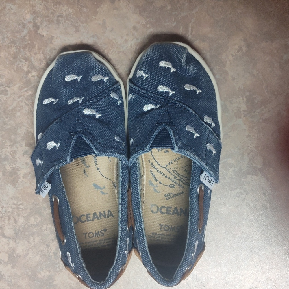 Toms Blue and White Sneakers Size 8 Toddler Boy - Picture 3 of 7